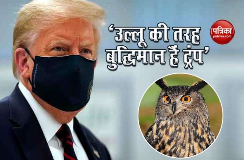 Trump Supporter Tomi Lahren Says US President is Wise Like an 'Ullu' Donald trump की समर्थक ने उन्हें बताया 'उल्लू', Video वायरल होने के बाद बन रहा मजाक