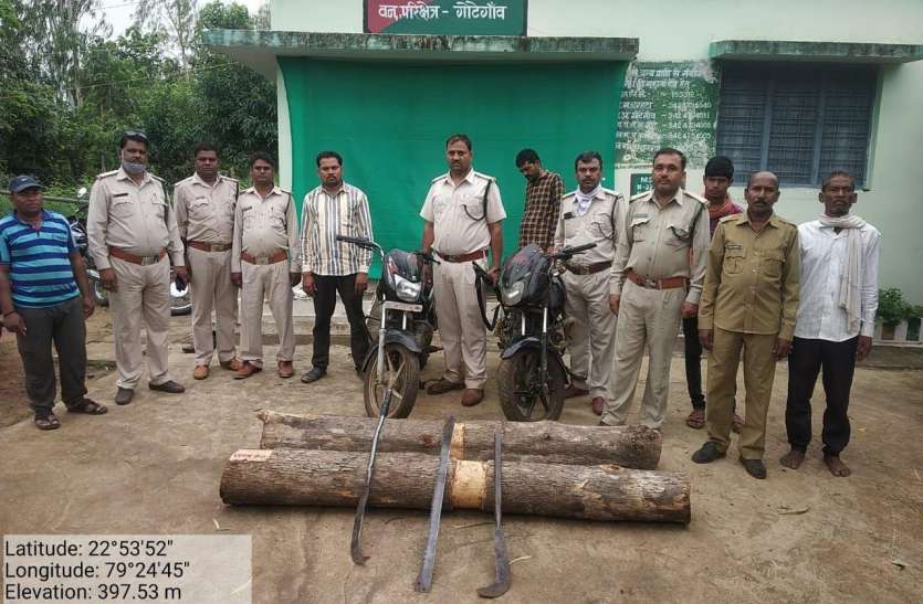 2601nsp3.jpg वन विभाग की टीम ने किया पीछा, दो बाइक और सागौन छोड़ कर भागे लकड़ी चोर
