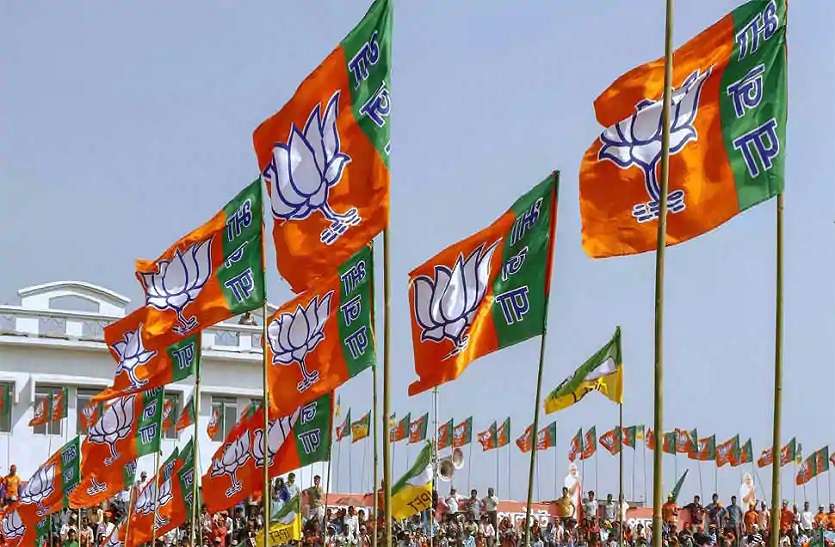 Rajasthan BJP Youth Wing President, latest and updated news राजस्थान: भाजयुमो प्रदेश अध्यक्ष की घोषणा का ‘काउंटडाउन’, जानें इस बार क्यों बना हुआ है दिलचस्प