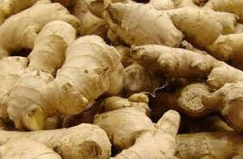 Ginger इम्युनिटी बढ़ाने में विशेष भूमिका निभाती है अदरक
