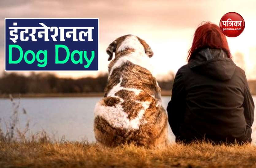International Dog Day 2020 International Dog Day 2020: हार्ट और डायबिटीज जैसी बीमारियों के खतरे से भी दूर रखते हैं डॉग