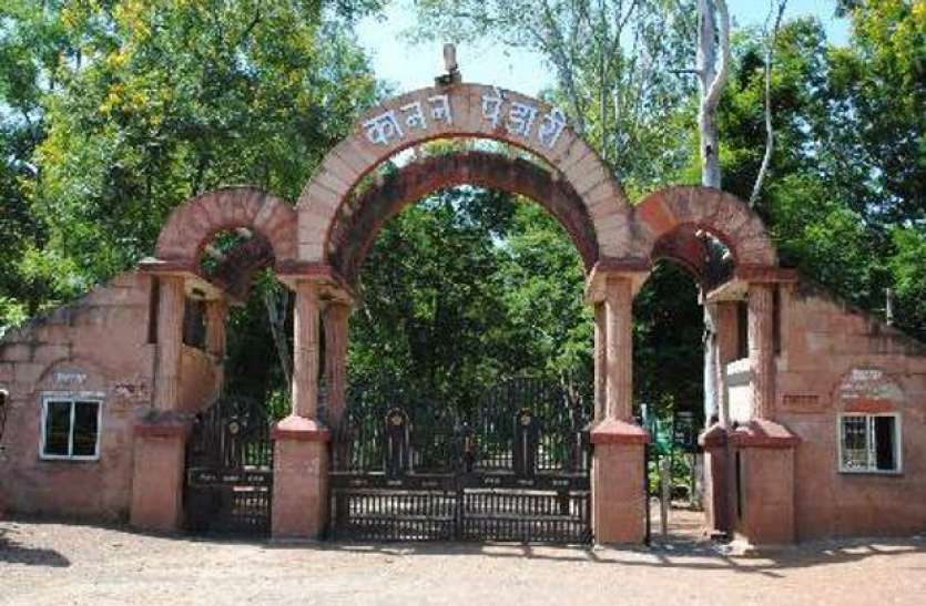kananpendari1-1458645953_835x547.jpg कानन पेंडारी चिड़ियाघर के राजू भालू की हार्टअटैक से मौत