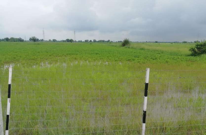 khet.jpg सिक्सलेन निर्माण कार्य के दौरान पानी की निकासी बन्द होने से खेत हुए लबालब