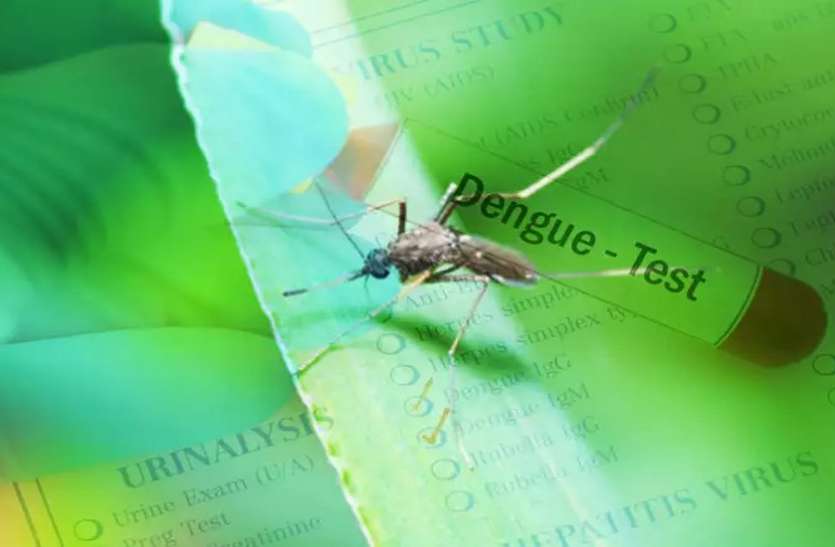 Dengue Preventive Food : डेंगू से बचने के लिए क्या खाना चाहिए और क्या नहीं, यहां जानें Dengue Preventive Food : डेंगू से बचने के लिए क्या खाना चाहिए और क्या नहीं, यहां जानें