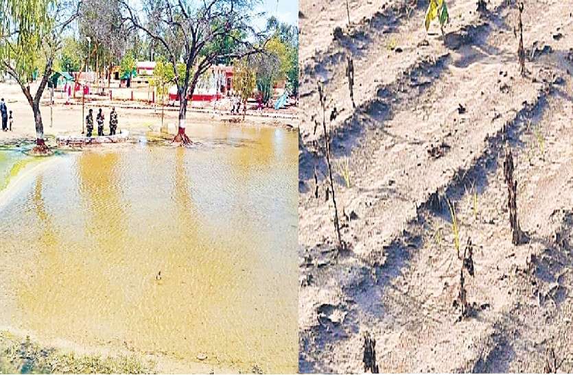 rajasthan_news_1.jpg सरहद पर नए 'दुश्मन' से लोहा ले रहे जवान और किसान
