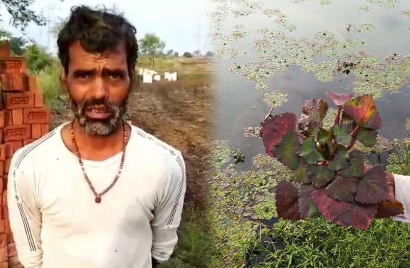 singhada4.jpg