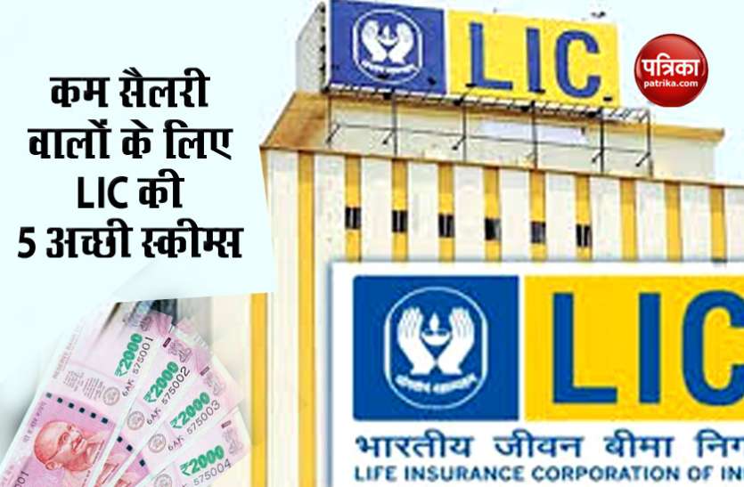 lic1.jpg LIC की ये 5 स्कीम्स हैं सबसे ज्यादा फायदेमंद, जानें कहां मिलेगा कितना रिटर्न
