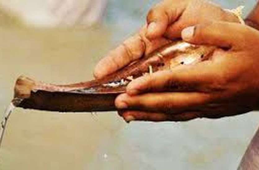 pitru paksha pitru paksha 2020: गंगा में विसर्जित होने वाली अस्थियां नर्मदा में हो रहीं विसर्जित, ट्रेनों के अभाव में हुआ बदलाव
