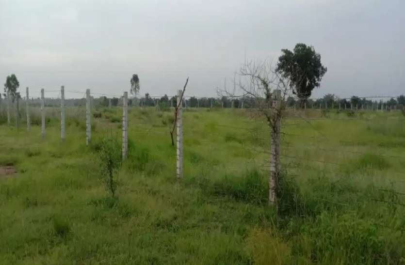 Play ground 80 लाख खर्च के बाद भी खेलने काबिल न हो सका मैदान, खिलाड़ियो में गुस्सा