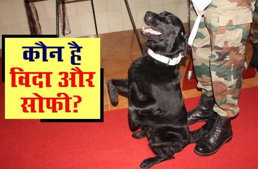 sophee aur vida कौन है विदा और सोफी, जिनके वीरता की कहानी PM Modi ने ‘Mann Ki Baat’ में सुनाई ?