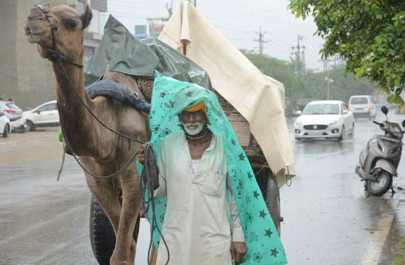 rain in rajasthan राजस्थान मौसम अपडेट: पश्चिमी विक्षोभ के चलते बन रही बारिश की संभावनाएं