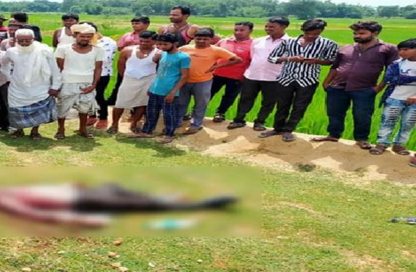युवक का खून से सना धड़ मिलने से सनसनी, सिर काट अपने साथ ले गए आरोपी युवक का खून से सना धड़ मिलने से सनसनी, सिर काट अपने साथ ले गए आरोपी