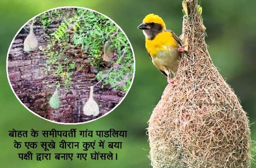 घर बसाने का समय आया तो आशियाना बनाने में जुटे ये 'होनहार' घर बसाने का समय आया तो आशियाना बनाने में जुटे ये 'होनहार'
