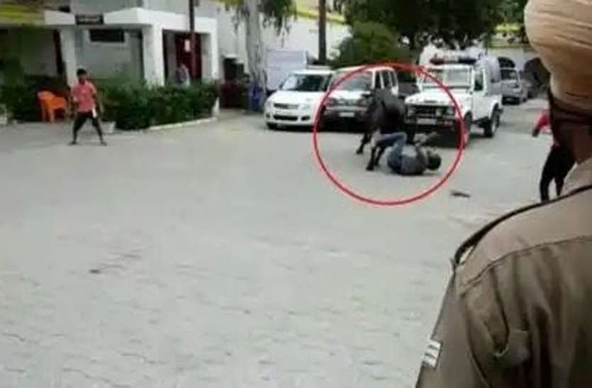 sambhal.jpg भैंस ने कोतवाली में मचाया उत्पात, दरोगा को सींगों से उठाकर पटका, पुलिसकर्मियों में भगदड़