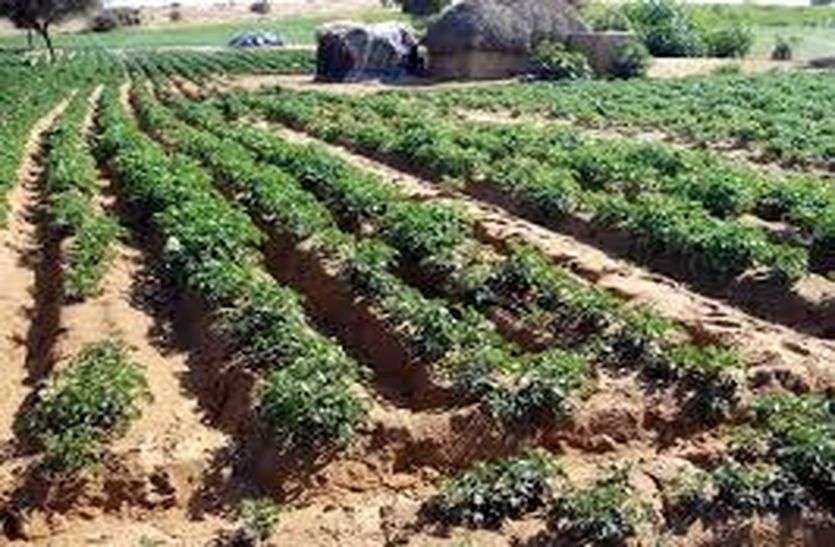 Farmers Get Economic Benefits From Latest Research कृषक नवीनतम अनुसंधानों से आर्थिक लाभ प्राप्त करें