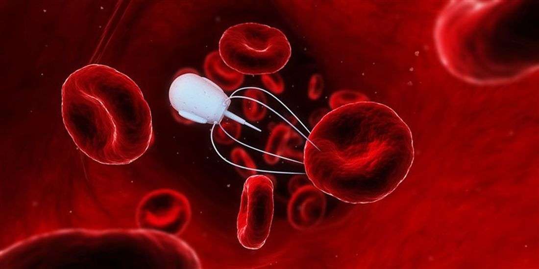 मेडिकल इनोवेशन: वैज्ञानिकों ने बनाई ऐसे 'छोटे रोबोट्स की सेना' जो शरीर में प्रवेश कर सर्जरी करेंगे