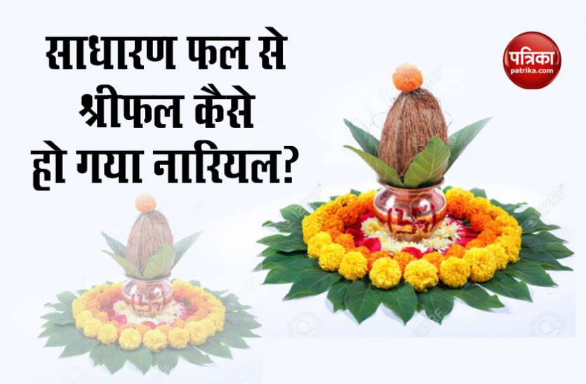 Coconut आज विश्व नारियल दिवस है, जानें एक साधारण फल कैसे भारतीयों की जीवन में इतना महत्वपूर्ण हो गया?