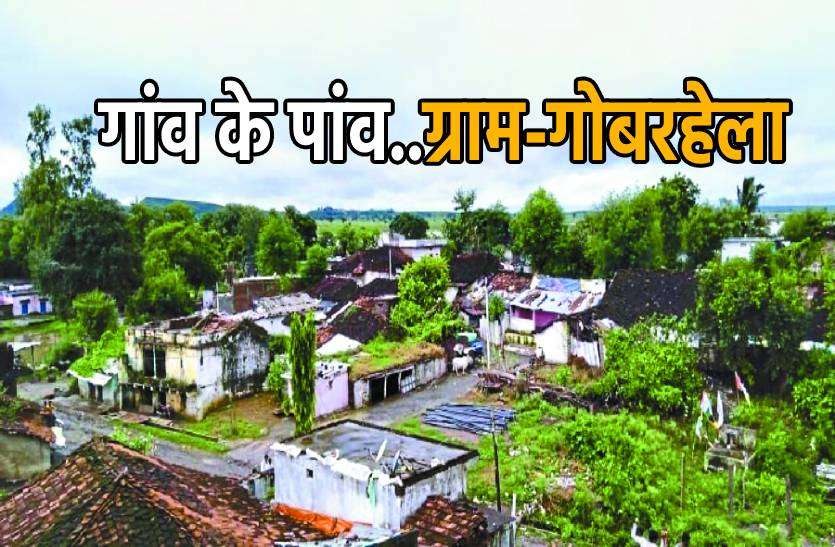 vidisha_ganv.jpg कभी गोबर थी यहां की पहचान अब उन्नत खेती के लिए जाना जाता है ये गांव ?