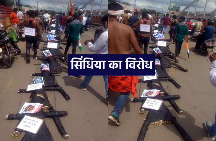 gwalior.png ग्वालियर में ज्योतिरादित्य सिंधिया का विरोध, 22 नेताओं के पुतले घसीटने वाले गिरफ्तार
