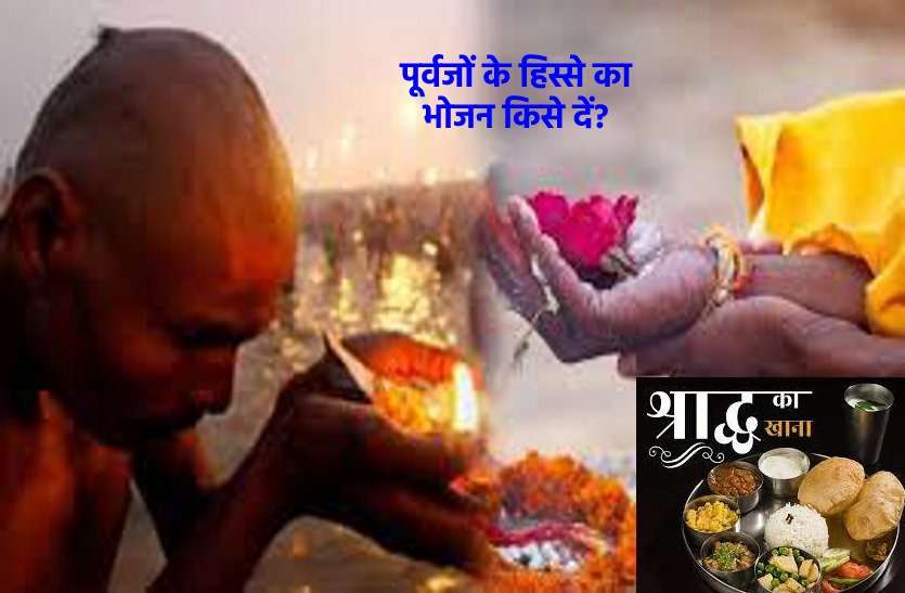 Who should give food to the ancestor's share in Shraddhas पितृ पर्व : श्राद्धों में पूर्वजों के हिस्से का भोजन किसे देना है शुभ, जाने यहां