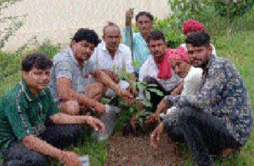 पौधारोपण कर लिया सुरक्षा का संकल्प, देंगे नियमित पानी पौधारोपण कर लिया सुरक्षा का संकल्प, देंगे नियमित पानी