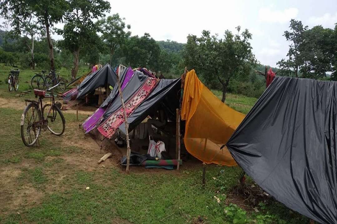 वन क्षेत्र में अतिक्रमण