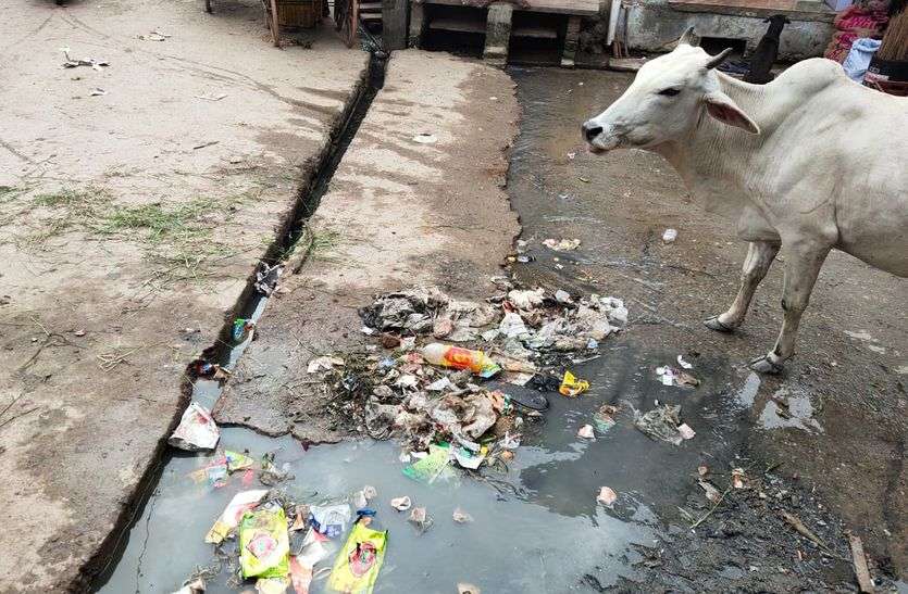 सफाईकर्मी हड़ताल पर, कस्बे में फैली गंदगी सफाईकर्मी हड़ताल पर, कस्बे में फैली गंदगी