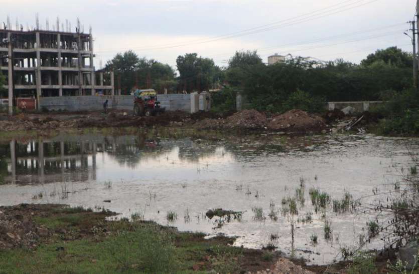 Rain water filled in plots, mosquitoes started to flourish in bhilwara भूखण्डों में भरा बरसाती पानी, पनपने लगे मच्छर