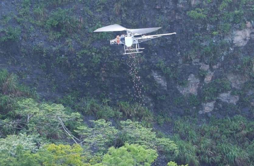 अरावली पर्वतमाला ओढे़गी हरियाली चादर, ड्रोन से होगा बीजारोपण अरावली पर्वतमाला ओढे़गी हरियाली चादर, ड्रोन से होगा बीजारोपण