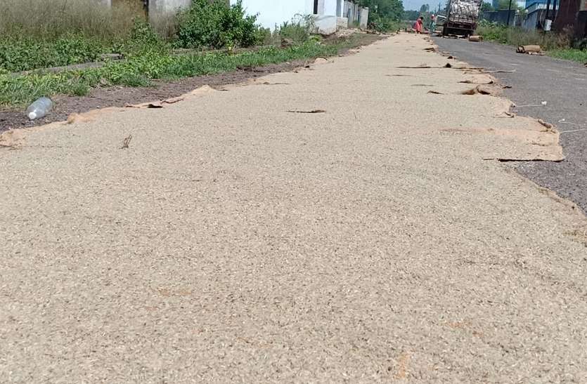 Rotten rice dries on the road in Lamtara Industrial Area. दो माह में 14 मिलर्स का 26 हजार क्विंटल चावल रिजेक्ट