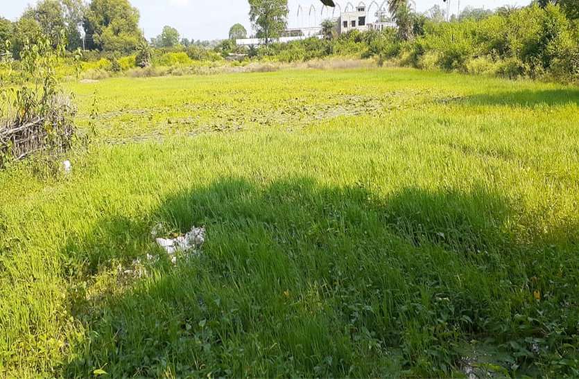 Not repaired in empty space अधिकारियों के निर्देश के बाद भी नहीं कराया गया पुराव, जमा हो रहा है पानी