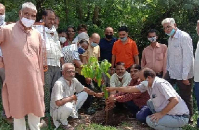 छत्रपुरा रोड होगा हरा-भरा, लिया संकल्प छत्रपुरा रोड होगा हरा-भरा, लिया संकल्प