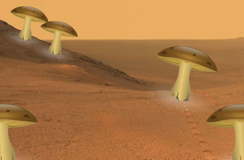मंगल पर घर बनाएंगे नहीं बल्कि उगाएंगे, नासा के अंतरिक्ष यात्री
