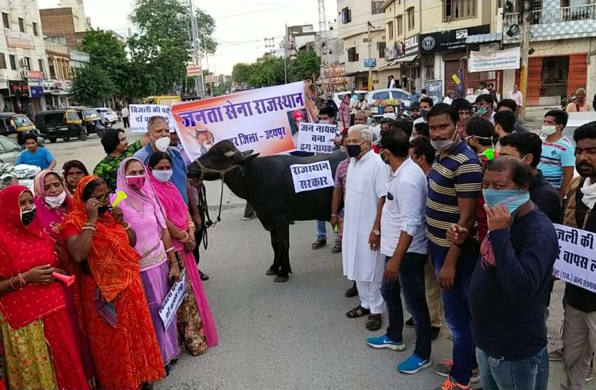 बिजली दामों के विरोध में भैंस के आगे बजाई बीन बिजली दामों के विरोध में भैंस के आगे बजाई बीन