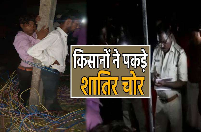 chor.jpg रंग लाई किसानों की मेहनत, जानिए कैसे चोरों को पहुंचाया जेल ?