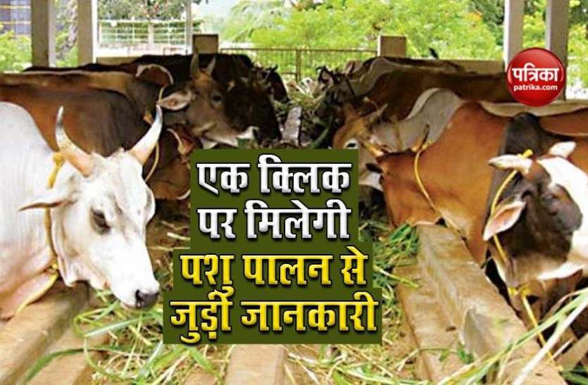 pashu1.jpg E-Gopala App : पशु पालकों को पीएम मोदी का तोहफा, नए ऐप से आमदनी होगी दोगुनी