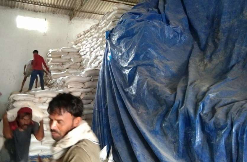 Investigation going on regarding quality of rice in Singrauli प्रतिबंध के बावजूद खपाया जा रहा सड़ा चावल, गेहूं की गुणवत्ता भी है निम्न
