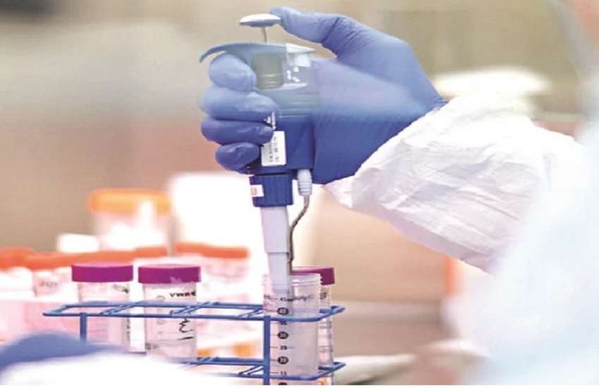 rapid antigen test