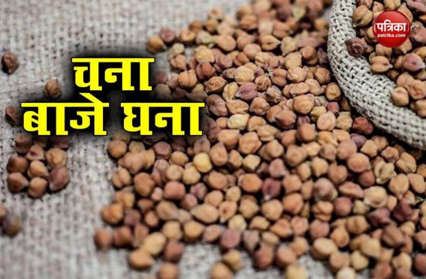 Chana will be expensive 6000 rupees per quintal, know what are reasons दिपावली तक 6000 रुपए प्रति क्विंटल महंगा होगा चना, जानिए क्या बन रहे हैं कारण