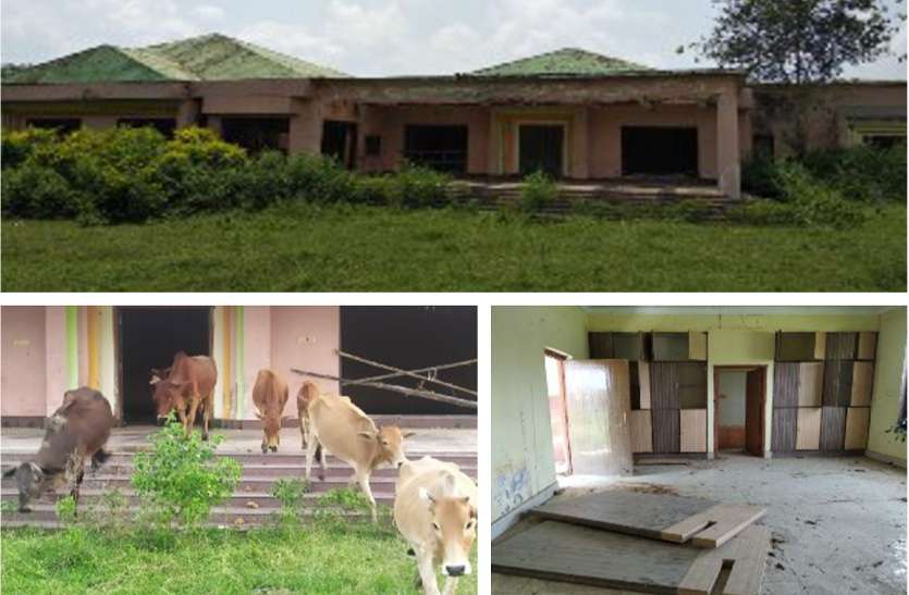 जनता के पैसों की बर्बादी: 1 करोड़ के थ्री स्टार मोटल में अब नहीं आते पर्यटक, यहां रंभाती हैं गायें, सब कबाड़ में तब्दील जनता के पैसों की बर्बादी: 1 करोड़ के थ्री स्टार मोटल में अब नहीं आते पर्यटक, यहां रंभाती हैं गायें, सब कबाड़ में तब्दील