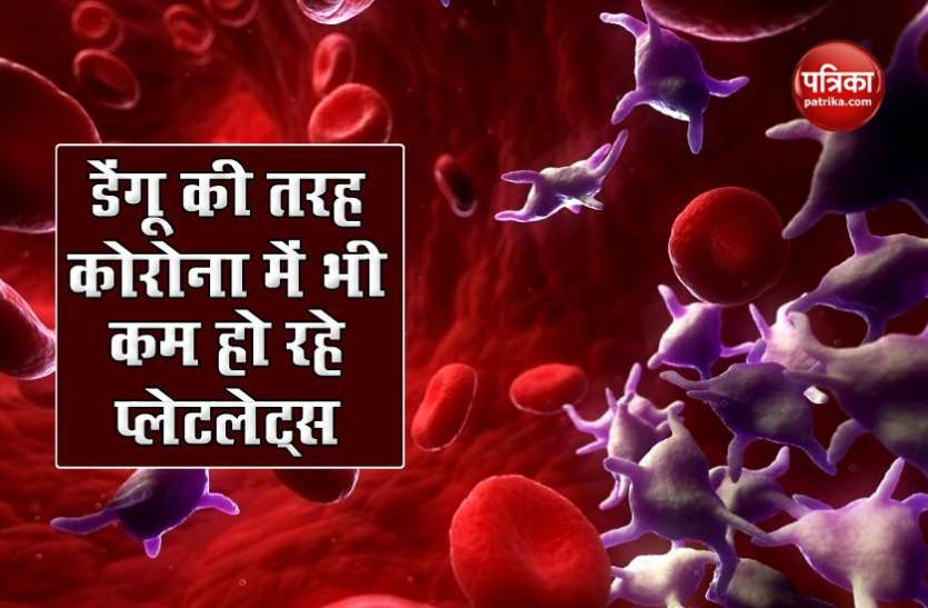 platlates1.jpg अब कोरोना ने प्लेट्लेट्स पर बोला हमला! डेंगू की तरह शरीर में कम हो रही इनकी संख्या