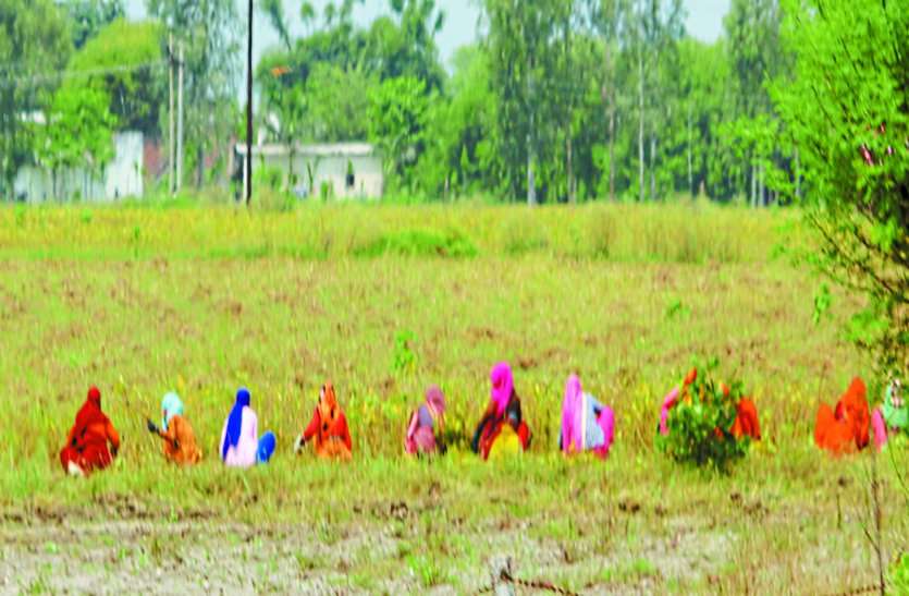 नुकसान की मार झेल रहे किसान, कलेक्टर के निर्देश के बाद भी नहीं पहुंचे सर्वे दल नुकसान की मार झेल रहे किसान, कलेक्टर के निर्देश के बाद भी नहीं पहुंचे सर्वे दल