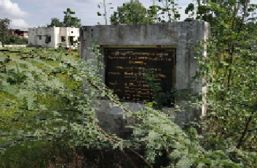 जंगल में बदल रहा चिकित्सा आवास परिसर जंगल में बदल रहा चिकित्सा आवास परिसर