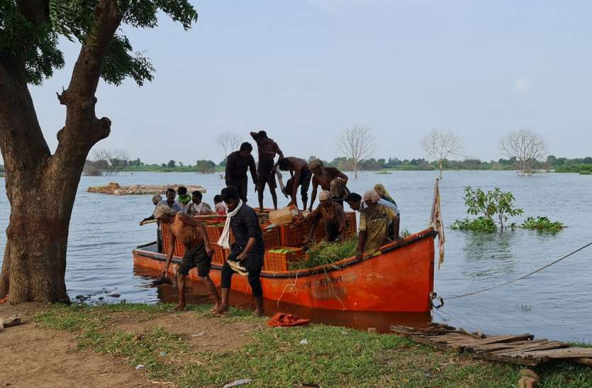 trouble with backwater Big problem - यहां नावों की मदद से खेती करने को मजबूर किसान