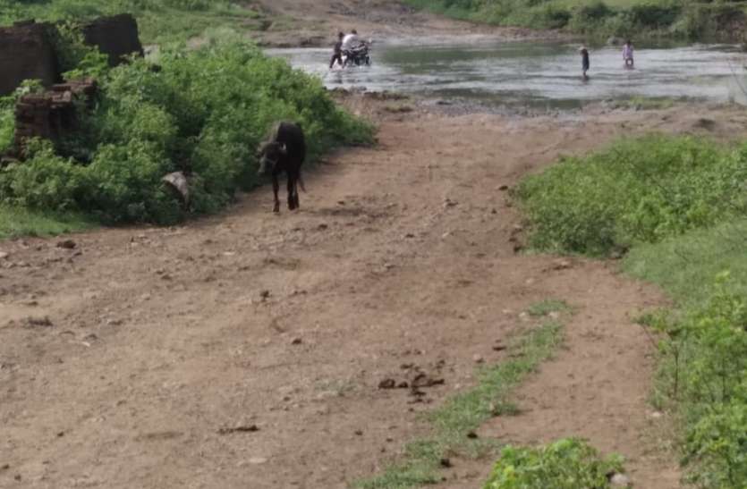 सांगवा की पामड़ी नदी के दोनों ओर बसे गांव, नदी पार करने नहीं बनाया जा रहा पुल या रपटा सांगवा की पामड़ी नदी के दोनों ओर बसे गांव, नदी पार करने नहीं बनाया जा रहा पुल या रपटा