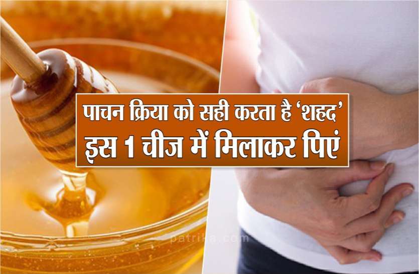 photo6273636189735070282.jpg पाचन क्रिया को सही करता है शहद, गर्म दूध में मिलाकर पीने से होते हैं कई सारे फायदे