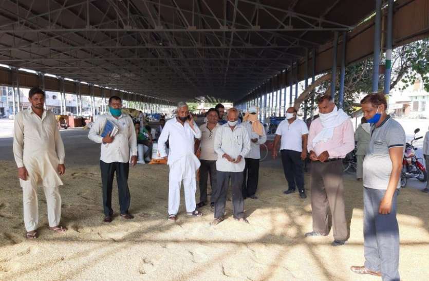 अबकी बार धरतीपुत्रों को धान नहीं करेगा निहाल अबकी बार धरतीपुत्रों को धान नहीं करेगा निहाल