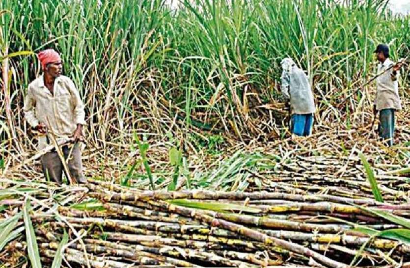 चीनी मिलों पर किसानों के 13,000 करोड़ रुपये बकाया, सरकार ने संसद में दी जानकारी चीनी मिलों पर किसानों के 13,000 करोड़ रुपये बकाया, सरकार ने संसद में दी जानकारी