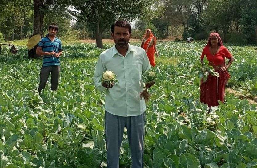 गुड़ा ढहर की सब्जियों का स्वाद सबसे है अलग गुड़ा ढहर की सब्जियों का स्वाद सबसे है अलग