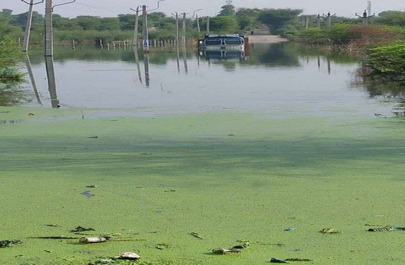 ड्राइवर ने बांध के पानी में उतार दिया ट्रक फिर क्या हुआ जानें ड्राइवर ने बांध के पानी में उतार दिया ट्रक फिर क्या हुआ जानें